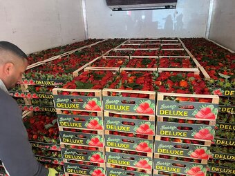 Jahody exclusiv stravberry - 3