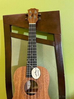 Ukulele - 3