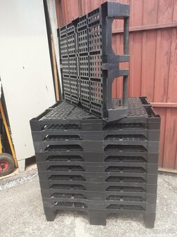 Predam plastove palety 80x60 cm, - 3