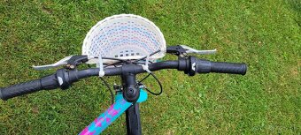 Bicykel Dema Vitta 26 - 3