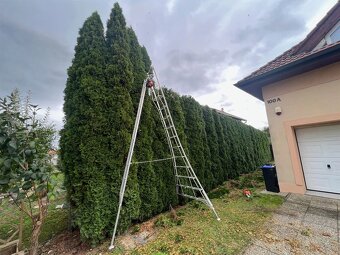 Strihanie okrasných drevín, živých plotov a skrátenie tují - 3
