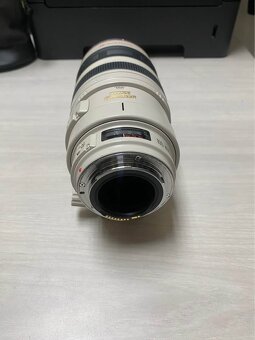 Canon EF 100-400mm f4.5-5.6 L IS - 3