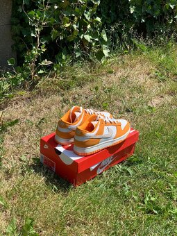 Nike dunk low 41 kumquat orange - 3