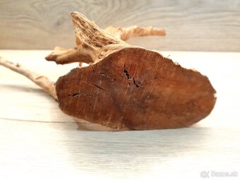 Koreň do akvária, terária - 3