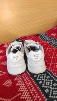Puma - 3