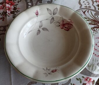 Hrubostenné taniere Ditmar- urbach - 3