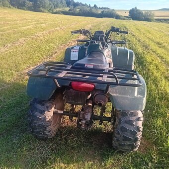 Suzuki eiger 400 - 3