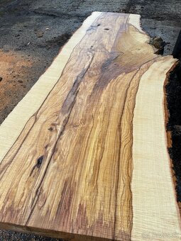 JASEŇOVÉ REZIVO OLIVE ASH / Očkové drevo / Live edge - 3