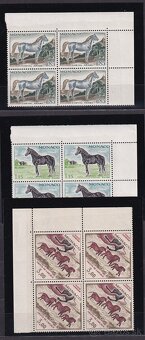 Monako - koníky v štvorblokoch - 3