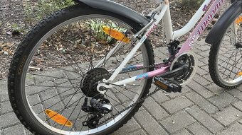 BICYKEL 24" - dievčenský - 3