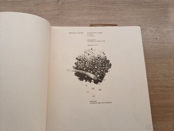 Miroslav Válek: Zakázaná láska, Brunovský 1977 - 3