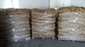 PREDÁM CIBUĽU a ZEMIAKY - 3