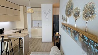 Predaj 2 izbový byt 48.6 m2, 3p. s balkónom a skladom, Rivie - 3