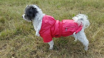 Čisto nový kabátik pre psíka modrý/červený - 3
