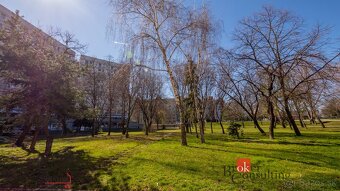 Obchodný priestor - 3