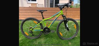 AUTHOR  Matrix 24 - 3