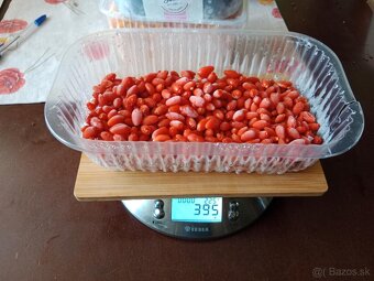 Arónia, goji, rakytník - 3