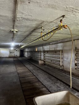 Farma na chov drobnej hydiny - Turá okr. Levice - 3
