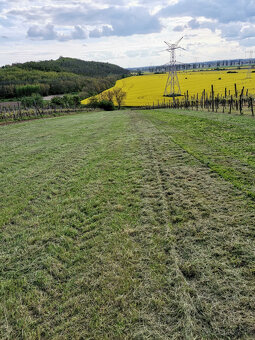 Pozemok na chatu, veľká dvoj-pivnica, záhrada, dobrý prístup - 3
