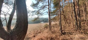 pozemok pod lesom - 3
