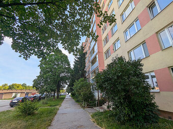3 i. PRAŽSKÝ, Michalovská (Terasa), LO, OV, 5p, PS, voľný - 3