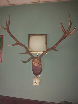 Parožie z roku 1916 - 3