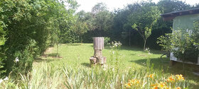 Záhradka v Seredi - 3