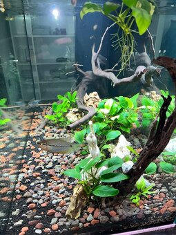 Predám akváriový set - 3