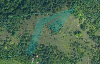 Veľký Blh - 503 m2 PÔDA a LESY – PREDAJ - 3