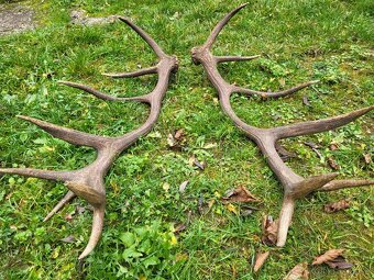 Parozie,parohy,zhody - 3