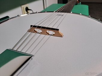 6 strunové banjo Pasadena - 3
