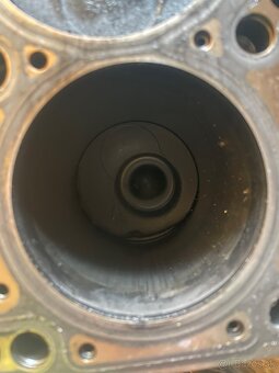 Motor 1.9 tdi BLS - 3