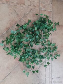 Umelý Brečtan rôzne dĺžky 1bal/3€ - 3