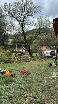 Orezávanie stromov, rizikový výrub, arboristické práce - 3