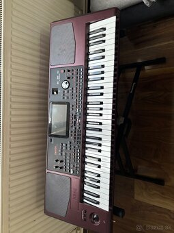 Korg Pa 1000 - 3