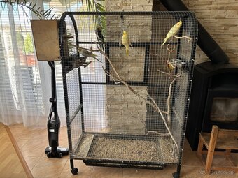 Korely s klietkou - 3