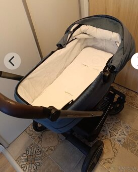 Kociarik Inglesina - 3