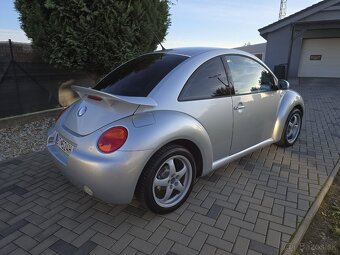Beetle - 3