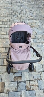 Predám kočik Camarelo Zeo - 3