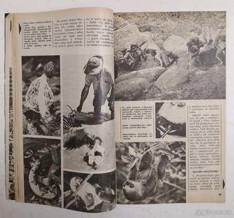 Interpress Magazin 1986 - 3