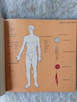 Príručný atlas prvej pomoci - 3