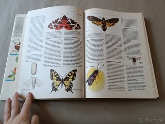 Pestrá priroda - 3