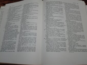 Jan Amos Komenský - 3