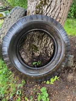 Darujem komplet koleso a pneumatiku - 3