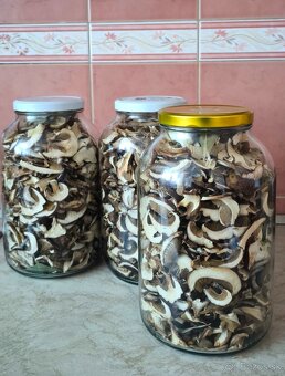 Sušené hríby 9/10 2025 - 3