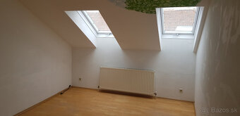 Krásny svetlý byt nad strechami Viedne - 3