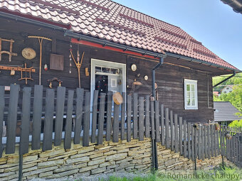 Romantická drevenica s garážou, upraveným pozemkom a teras - 3