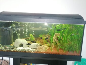 Akvarium 98l Set - 3