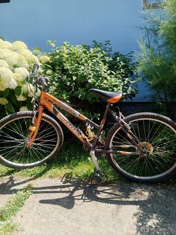 Bicykel Modet - 3