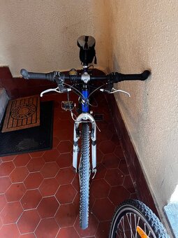 Detský bicykel LEADER FOX - 3